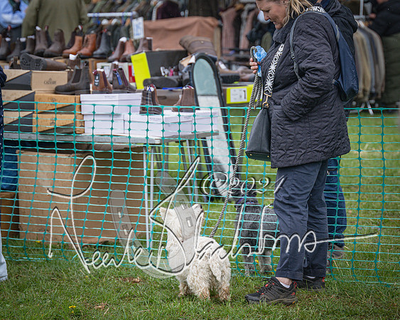 Bicester - Dog Show (27 of 106)