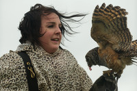 3 - CA Birds of Prey 16