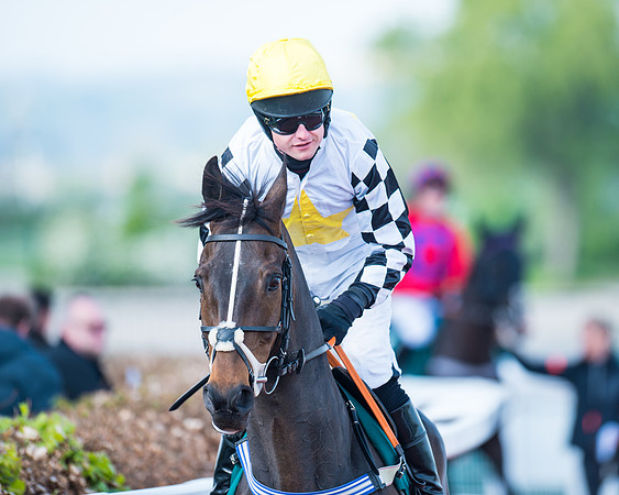 Race 1 - The open Hunter chase  (38 of 95)