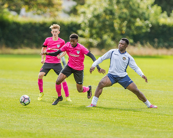 edsv 6-0 191016 (220 of 257)
