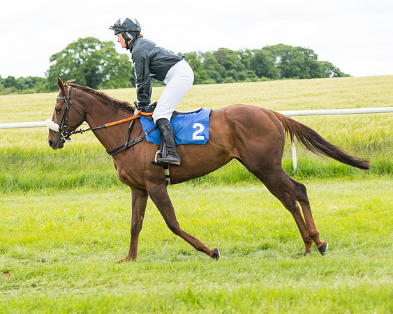 Race 1 - Owner Trainer Conditions  (52 of 133)