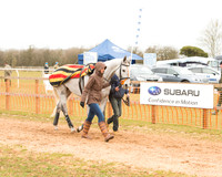 Race 6 - Open Maiden (3 of 120).jpg