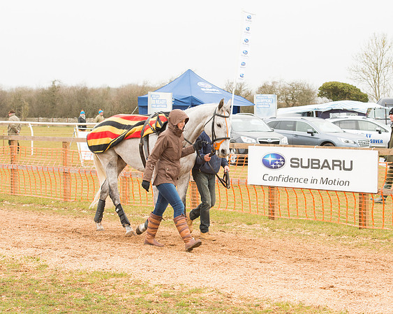 Race 6 - Open Maiden (3 of 120).jpg