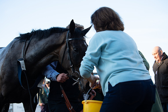 Race 5 - ITM Mares'  (111 of 181)