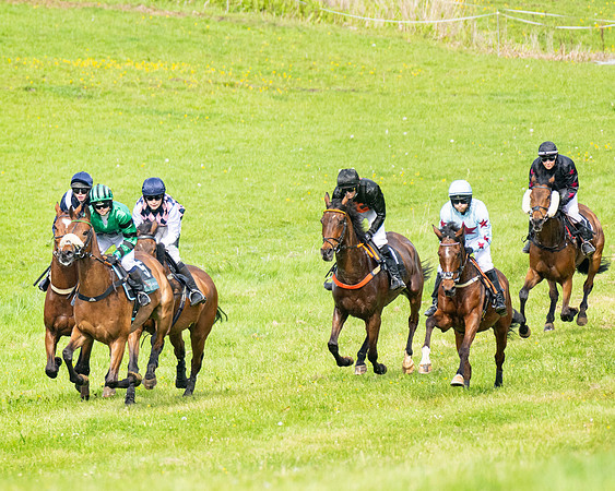 Race 5  - Novice riders (67 of 188)