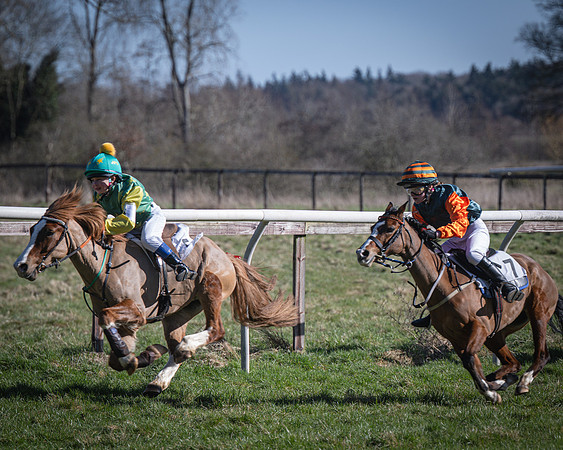 Pony Races (28 of 112)