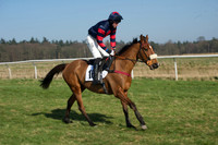 Races 2 - Conditions 5