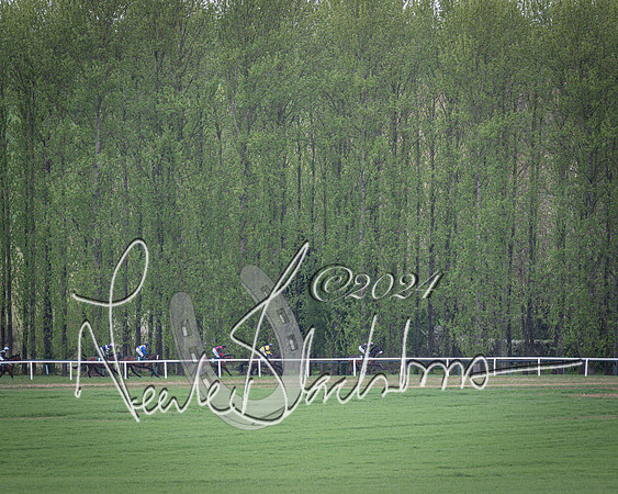 Race 3 - 5 years old and Over Maiden Race (32 of 130)