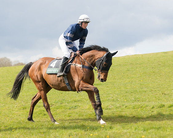 Race 3 - Owner Trainer conditions (3 of 132)