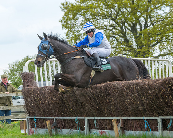 Race 2 - Jockey Club ROR veteran Horse (68 of 104)