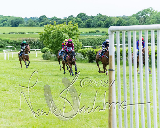 Race 3 - Conditions (208 of 367)