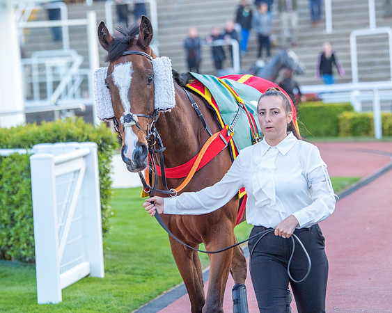 Race 7 - Glos Hussars  (43 of 245)