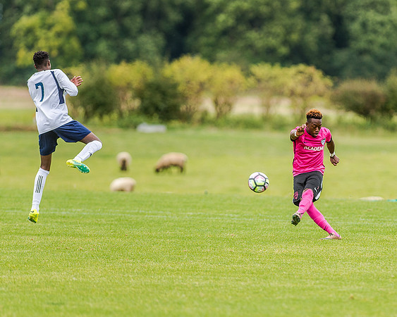 edsv 6-0 191016 (157 of 257)