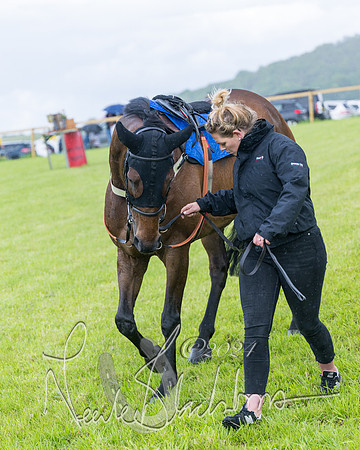 Race 1 - Owner-Trainer Conditions  (8 of 392)