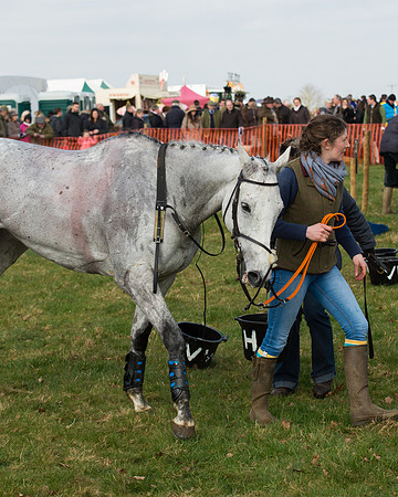 Race 1 - Hunt Members race (62 of 64).jpg