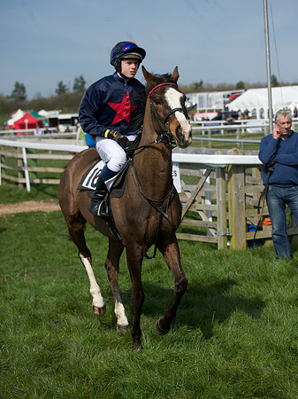 Pony Race 3 -  15