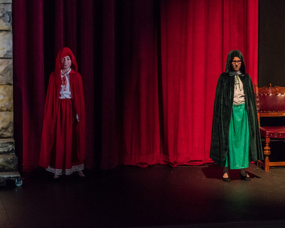 Beauty and the Beast (12 of 531)