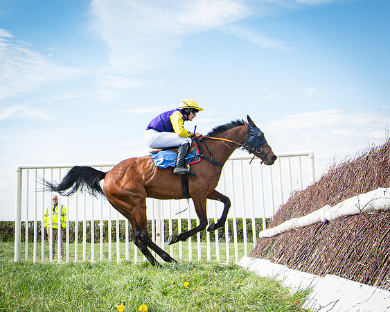 Race 3 - The Richardsons chartered Accountants Conditions Race [Level Three] for Novice Riders (94 of 117)