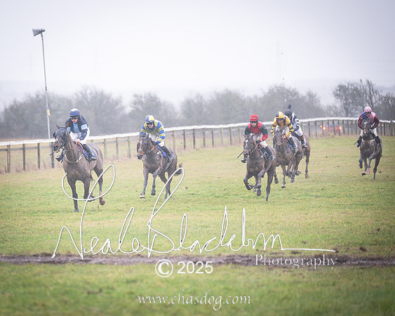 Race 2 - Restricted (12 of 70)-Enhanced-NR