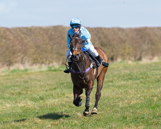 Oakley Ponies (83 of 96).jpg
