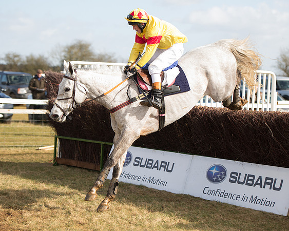 Race 1 - 4-5-6 Maiden (111 of 119).jpg