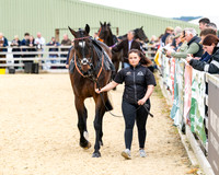 Race 2 - 2M4F Conditions (15 of 195)