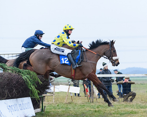 Race 8 - Oprn Maiden Div 2 (59 of 108)