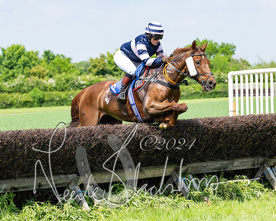RAce 1 - Conditionsn [Level 2] (97 of 219)