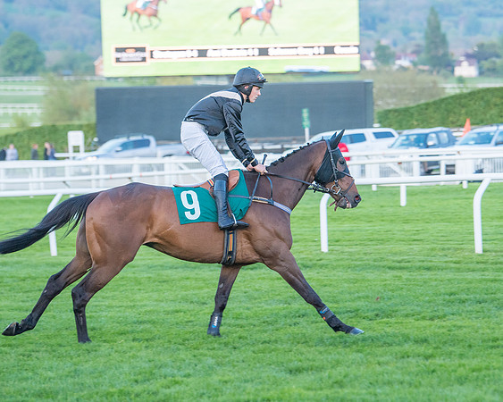 Race 7 - Glos Hussars  (60 of 245)