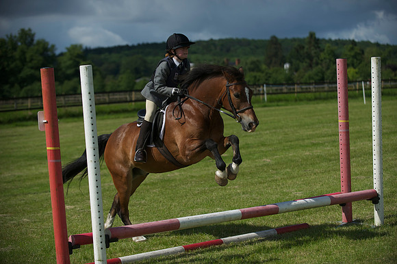 SOHS PC Summer Show at BCA 17th June 2012