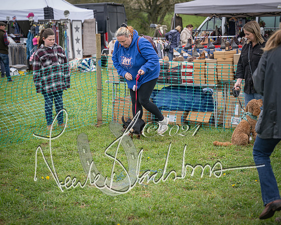 Bicester - Dog Show (78 of 106)