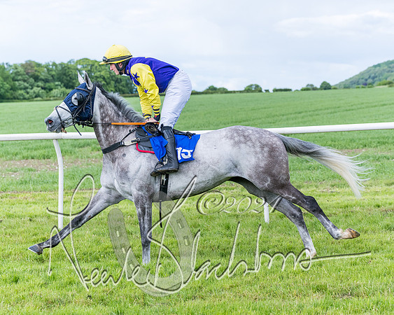 Race 5 - Restricted Race (104 of 434)