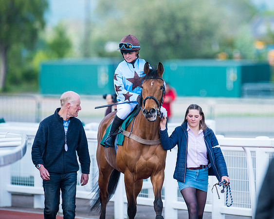 Race 1 - The open Hunter chase  (32 of 95)