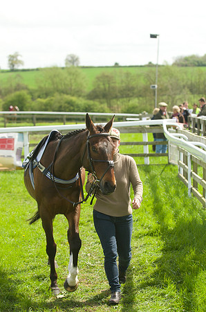 Pony Race - 3    17