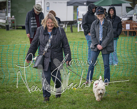 Bicester - Dog Show (2 of 106)