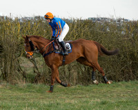 Race 6 - Open Maiden Race (6 of 99).jpg