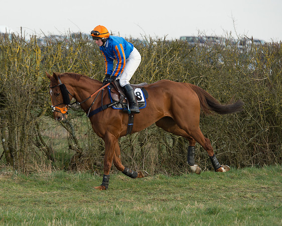 Race 6 - Open Maiden Race (6 of 99).jpg