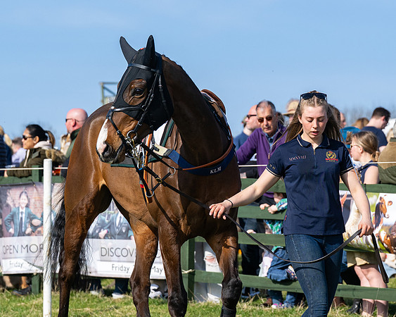 Race 3 - The Intermediate race (5 of 106)