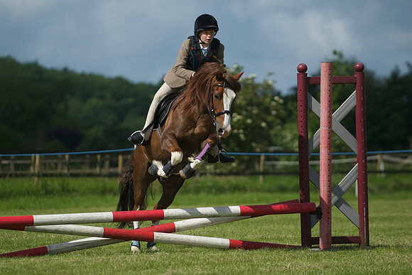 SOHS PC Summer Show at BCA 17th June 2012