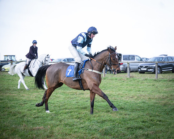 Race 2 - Maiden (11 of 145)