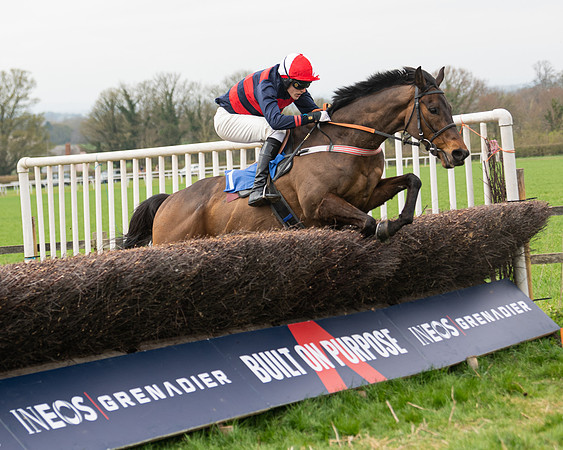 Race 2 - Veteran Horse (113 of 153)
