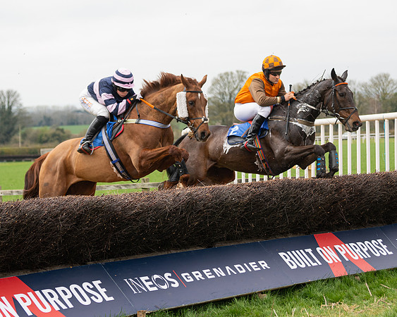 Race 2 - Veteran Horse (31 of 153)