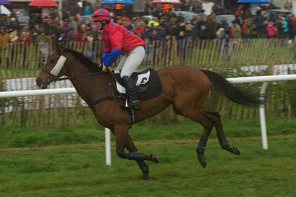 Race 4 - Novice riders 31