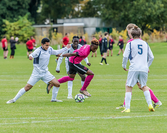 edsv 6-0 191016 (187 of 257)