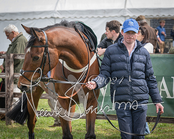 Race 3 - 5 years old and Over Maiden Race (7 of 130)