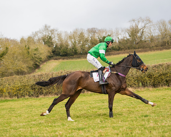 Race 2 - Open Maiden (22 of 128)