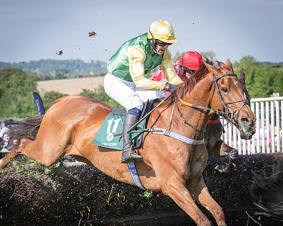 Race 5 - Restricted (67 of 116)