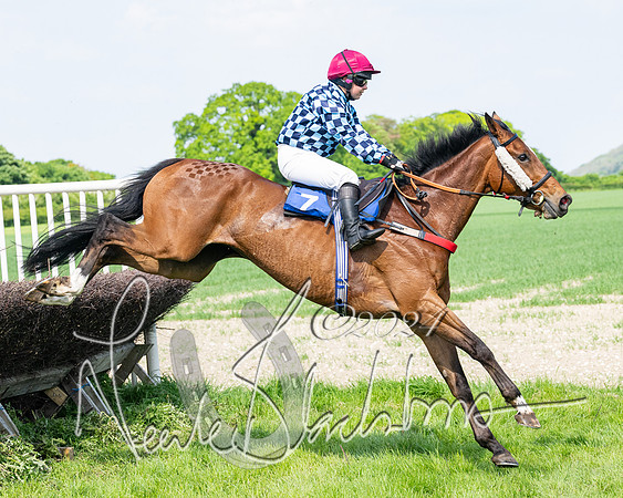 Race 3 - Ladies Open  (96 of 133)