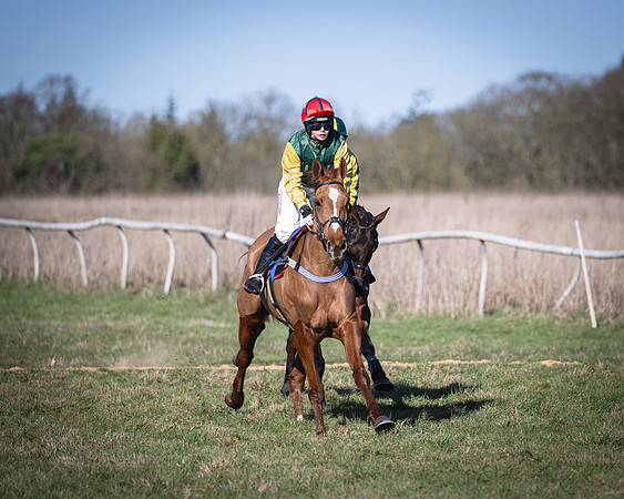 Race 3 - Ladies Open (27 of 56)