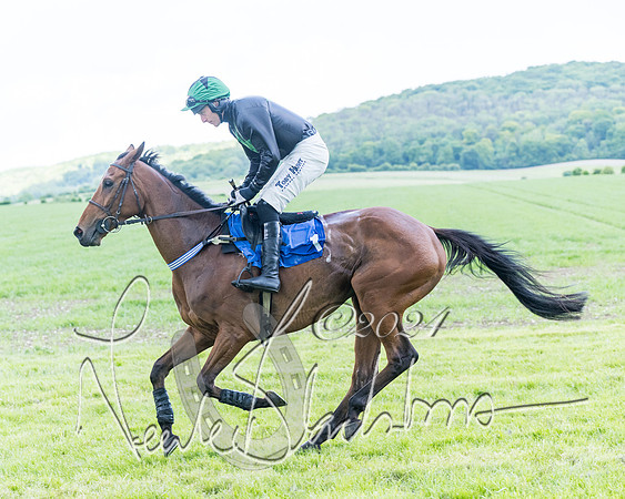 Race 3 - Conditions (89 of 367)